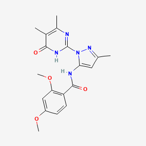 molecular formula C19H21N5O4 B2586266 N-(1-(4,5-dimethyl-6-oxo-1,6-dihydropyrimidin-2-yl)-3-methyl-1H-pyrazol-5-yl)-2,4-dimethoxybenzamide CAS No. 1004680-10-7