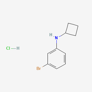 molecular formula C10H13BrClN B2587281 3-溴-N-环丁基苯胺盐酸盐 CAS No. 2225141-94-4