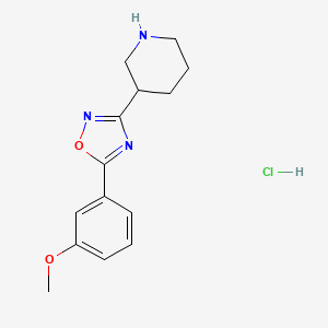 3-[5-(3-Methoxyphenyl)-1,2,4-oxadiazol-3-yl]piperidine hydrochloride