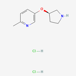 molecular formula C10H16Cl2N2O B2588654 2-Methyl-5-[(3R)-pyrrolidin-3-yl]oxypyridine;dihydrochloride CAS No. 2408936-68-3