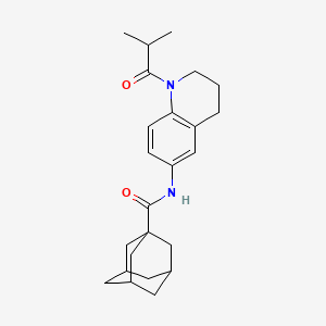 N-(1-isobutyryl-1,2,3,4-tetrahydroquinolin-6-yl)adamantane-1-carboxamide