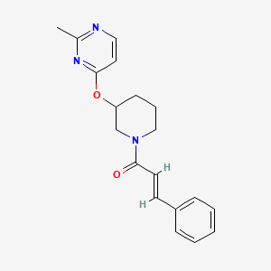molecular formula C19H21N3O2 B2589459 (E)-1-(3-((2-甲基嘧啶-4-基)氧代)哌啶-1-基)-3-苯基丙-2-烯-1-酮 CAS No. 2035022-92-3