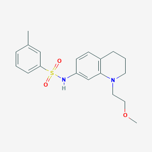 N-(1-(2-methoxyethyl)-1,2,3,4-tetrahydroquinolin-7-yl)-3-methylbenzenesulfonamide