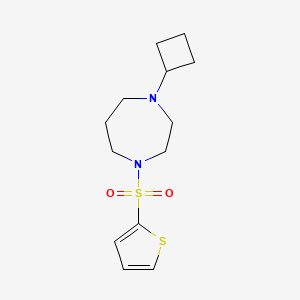molecular formula C13H20N2O2S2 B2590462 1-环丁基-4-(噻吩-2-基磺酰基)-1,4-二氮杂环庚烷 CAS No. 2176270-42-9