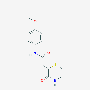 molecular formula C14H18N2O3S B259075 N-(4-ethoxyphenyl)-2-(3-oxothiomorpholin-2-yl)acetamide 