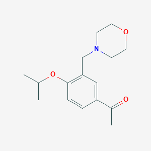 molecular formula C16H23NO3 B259095 1-[4-Isopropoxy-3-(4-morpholinylmethyl)phenyl]ethanone 