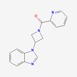 molecular formula C16H14N4O B2591668 [3-(Benzimidazol-1-yl)azetidin-1-yl]-pyridin-2-ylmethanone CAS No. 2380083-41-8