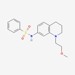N-(1-(2-methoxyethyl)-1,2,3,4-tetrahydroquinolin-7-yl)benzenesulfonamide