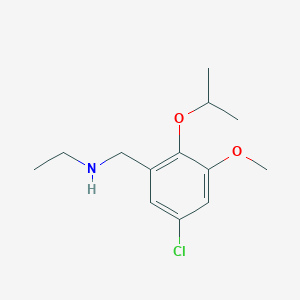 molecular formula C13H20ClNO2 B259202 N-[(5-chloro-3-methoxy-2-propan-2-yloxyphenyl)methyl]ethanamine 