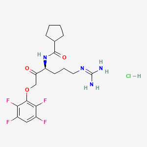 molecular formula C19H25ClF4N4O3 B2592188 Kgp-IN-1 (hydrochloride) CAS No. 2097865-47-7