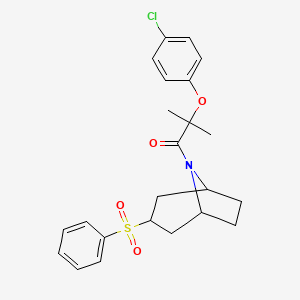 molecular formula C23H26ClNO4S B2592452 2-(4-chlorophenoxy)-2-methyl-1-((1R,5S)-3-(phenylsulfonyl)-8-azabicyclo[3.2.1]octan-8-yl)propan-1-one CAS No. 1448054-02-1