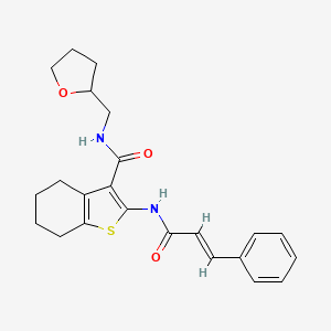 molecular formula C23H26N2O3S B2592857 2-肉桂酰胺基-N-((四氢呋喃-2-基)甲基)-4,5,6,7-四氢苯并[b]噻吩-3-甲酰胺 CAS No. 378779-87-4