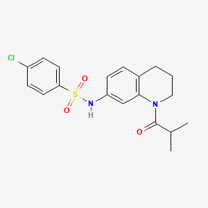 molecular formula C19H21ClN2O3S B2593930 4-chloro-N-(1-isobutyryl-1,2,3,4-tetrahydroquinolin-7-yl)benzenesulfonamide CAS No. 1005301-03-0