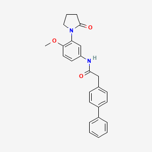 molecular formula C25H24N2O3 B2594159 N-[4-methoxy-3-(2-oxopyrrolidin-1-yl)phenyl]-2-(4-phenylphenyl)acetamide CAS No. 941890-02-4