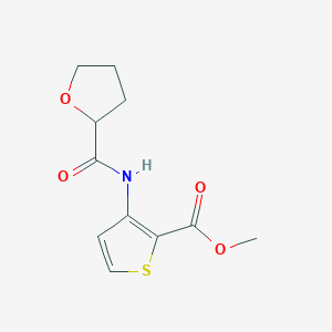 molecular formula C11H13NO4S B259431 Methyl 3-[(tetrahydrofuran-2-ylcarbonyl)amino]thiophene-2-carboxylate 
