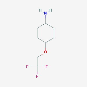 molecular formula C8H14F3NO B2594431 4-(2,2,2-Trifluoroethoxy)cyclohexan-1-amine CAS No. 929973-19-3