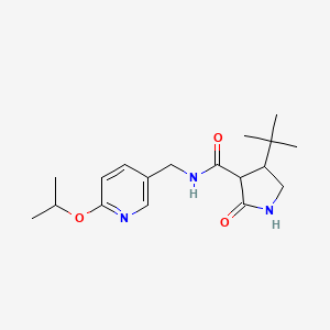 4-tert-butyl-2-oxo-N-{[6-(propan-2-yloxy)pyridin-3-yl]methyl}pyrrolidine-3-carboxamide