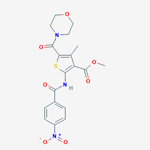 molecular formula C19H19N3O7S B259533 Methyl 2-[({4-nitrophenyl}carbonyl)amino]-4-methyl-5-(morpholin-4-ylcarbonyl)thiophene-3-carboxylate 