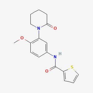 molecular formula C17H18N2O3S B2595908 N-(4-methoxy-3-(2-oxopiperidin-1-yl)phenyl)thiophene-2-carboxamide CAS No. 941982-54-3