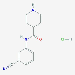 molecular formula C13H16ClN3O B2596212 盐酸N-(3-氰基苯基)哌啶-4-甲酰胺 CAS No. 1235440-05-7