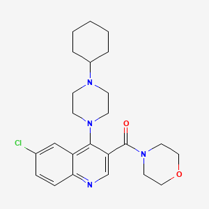 molecular formula C24H31ClN4O2 B2597657 [6-Chloro-4-(4-cyclohexylpiperazin-1-yl)quinolin-3-yl](morpholin-4-yl)methanone CAS No. 1326930-01-1