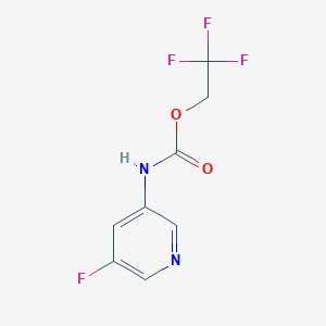 molecular formula C8H6F4N2O2 B2597705 2,2,2-trifluoroethyl N-(5-fluoropyridin-3-yl)carbamate CAS No. 1690543-74-8