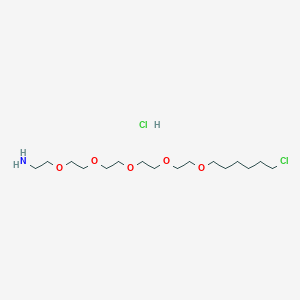molecular formula C16H35Cl2NO5 B2597732 21-Chloro-3,6,9,12,15-pentaoxahenicosan-1-amine hydrochloride CAS No. 2241669-16-7