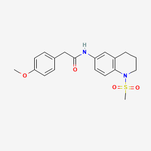 molecular formula C19H22N2O4S B2597775 2-(4-methoxyphenyl)-N-(1-methylsulfonyl-3,4-dihydro-2H-quinolin-6-yl)acetamide CAS No. 899983-56-3