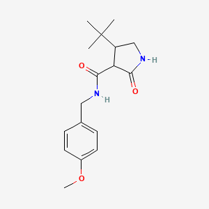 molecular formula C17H24N2O3 B2597832 4-terc-butil-N-[(4-metoxifenil)metil]-2-oxopirrolidina-3-carboxamida CAS No. 2097902-52-6