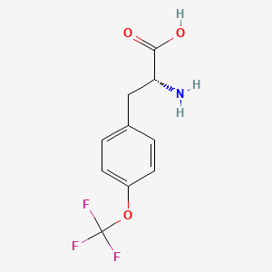 molecular formula C10H10F3NO3 B2597950 (2R)-2-amino-3-[4-(trifluoromethoxy)phenyl]propanoic acid CAS No. 1241677-90-6