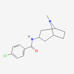 N1-(8-methyl-8-azabicyclo[3.2.1]oct-3-yl)-4-chlorobenzamide