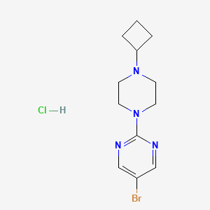 molecular formula C12H18BrClN4 B2598299 5-溴-2-(4-环丁基哌嗪-1-基)嘧啶盐酸盐 CAS No. 2034380-27-1