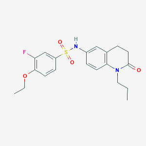 molecular formula C20H23FN2O4S B2598684 4-ethoxy-3-fluoro-N-(2-oxo-1-propyl-1,2,3,4-tetrahydroquinolin-6-yl)benzenesulfonamide CAS No. 954686-03-4