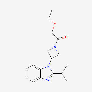 2-Ethoxy-1-[3-(2-propan-2-ylbenzimidazol-1-yl)azetidin-1-yl]ethanone