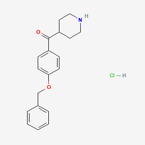 molecular formula C19H22ClNO2 B2598867 (4-BENZYLOXY-PHENYL)-PIPERIDIN-4-YL-METHANONE hydrochloride CAS No. 1373028-81-9
