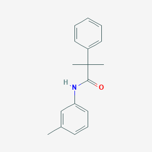 molecular formula C17H19NO B259953 2-methyl-N-(3-methylphenyl)-2-phenylpropanamide 