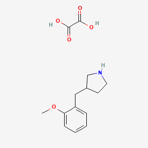 molecular formula C14H19NO5 B2599900 3-(2-甲氧基苄基)吡咯烷草酸盐 CAS No. 1170381-63-1