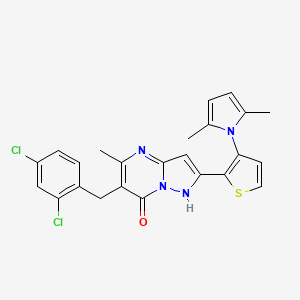 molecular formula C24H20Cl2N4OS B2599912 6-(2,4-dichlorobenzyl)-2-[3-(2,5-dimethyl-1H-pyrrol-1-yl)-2-thienyl]-5-methylpyrazolo[1,5-a]pyrimidin-7-ol CAS No. 439110-98-2
