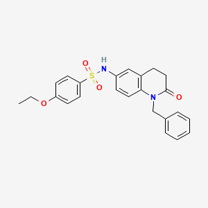 molecular formula C24H24N2O4S B2600196 N-(1-benzyl-2-oxo-1,2,3,4-tetrahydroquinolin-6-yl)-4-ethoxybenzenesulfonamide CAS No. 941912-03-4