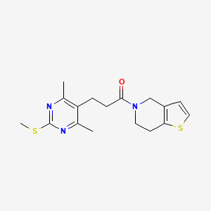 molecular formula C17H21N3OS2 B2600499 3-[4,6-dimethyl-2-(methylsulfanyl)pyrimidin-5-yl]-1-{4H,5H,6H,7H-thieno[3,2-c]pyridin-5-yl}propan-1-one CAS No. 1061286-49-4