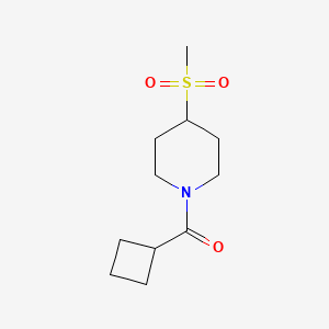 molecular formula C11H19NO3S B2601349 Cyclobutyl(4-(methylsulfonyl)piperidin-1-yl)methanone CAS No. 1448044-98-1