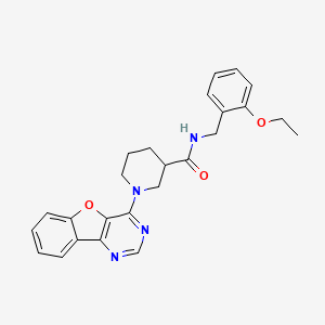 1-([1]benzofuro[3,2-d]pyrimidin-4-yl)-N-(2-ethoxybenzyl)piperidine-3-carboxamide