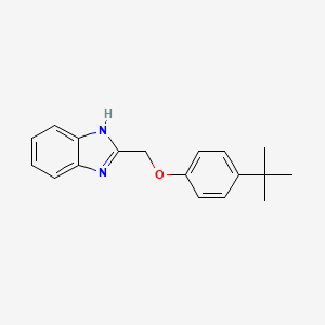 2-[(4-tert-butylphenoxy)methyl]-1H-benzimidazole