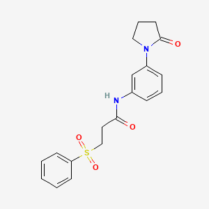 molecular formula C19H20N2O4S B2603304 3-(benzenesulfonyl)-N-[3-(2-oxopyrrolidin-1-yl)phenyl]propanamide CAS No. 1015717-46-0