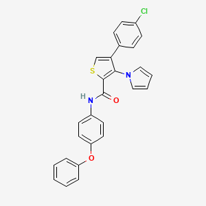 4-(4-chlorophenyl)-N-(4-phenoxyphenyl)-3-(1H-pyrrol-1-yl)thiophene-2-carboxamide