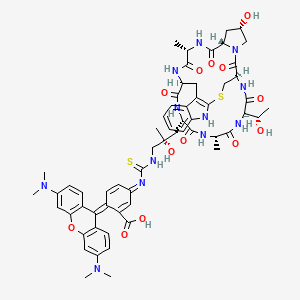 molecular formula C60H70N12O13S2 B2604369 Rhodamine-phalloidin CAS No. 915013-10-4