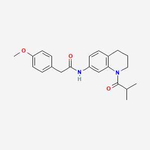 N-(1-isobutyryl-1,2,3,4-tetrahydroquinolin-7-yl)-2-(4-methoxyphenyl)acetamide