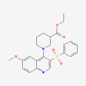 Ethyl 1-[3-(benzenesulfonyl)-6-methoxyquinolin-4-yl]piperidine-3-carboxylate