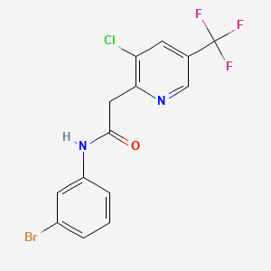 molecular formula C14H9BrClF3N2O B2605340 N-(3-溴苯基)-2-[3-氯-5-(三氟甲基)-2-吡啶基]乙酰胺 CAS No. 439107-74-1