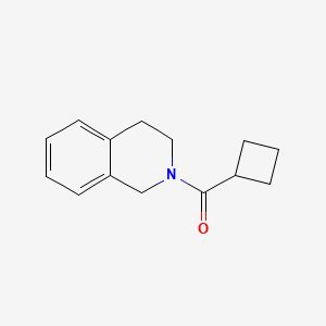 cyclobutyl(3,4-dihydroisoquinolin-2(1H)-yl)methanone